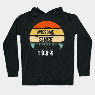 Awesome Since 1954 66th 65th birthday gift shirt Hoodie